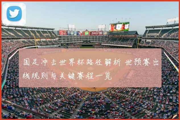 国足冲击世界杯路径解析 世预赛出线规则与关键赛程一览